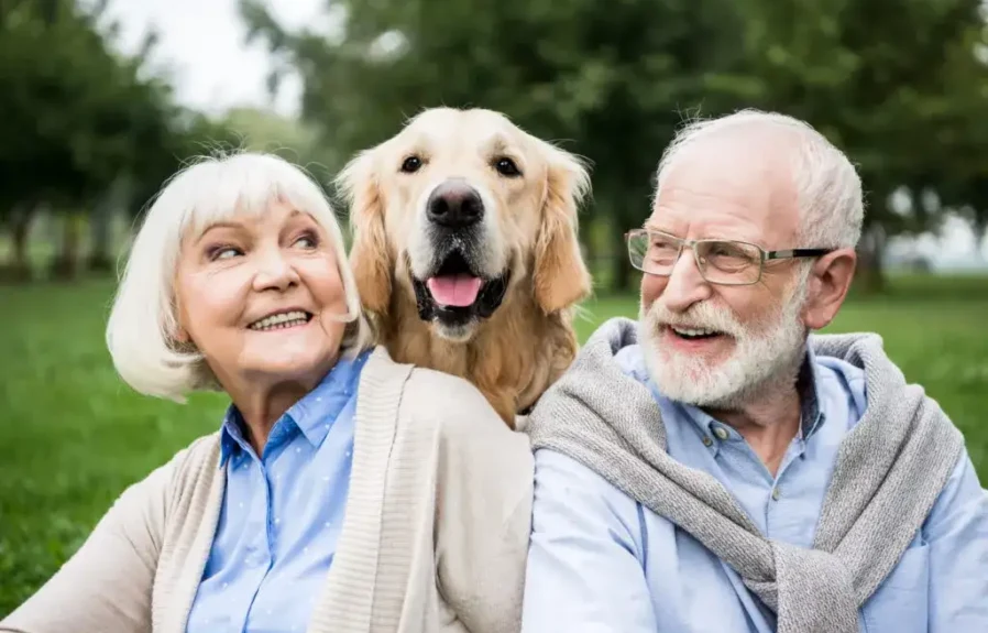 The Powerful Lesson of Patience: How a Little Puppy Changed a First-Time Owner’s Life