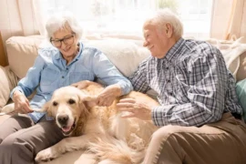 Heartwarming Growing Older Together With My Senior Dog: A Powerful Journey of Love and Companionship